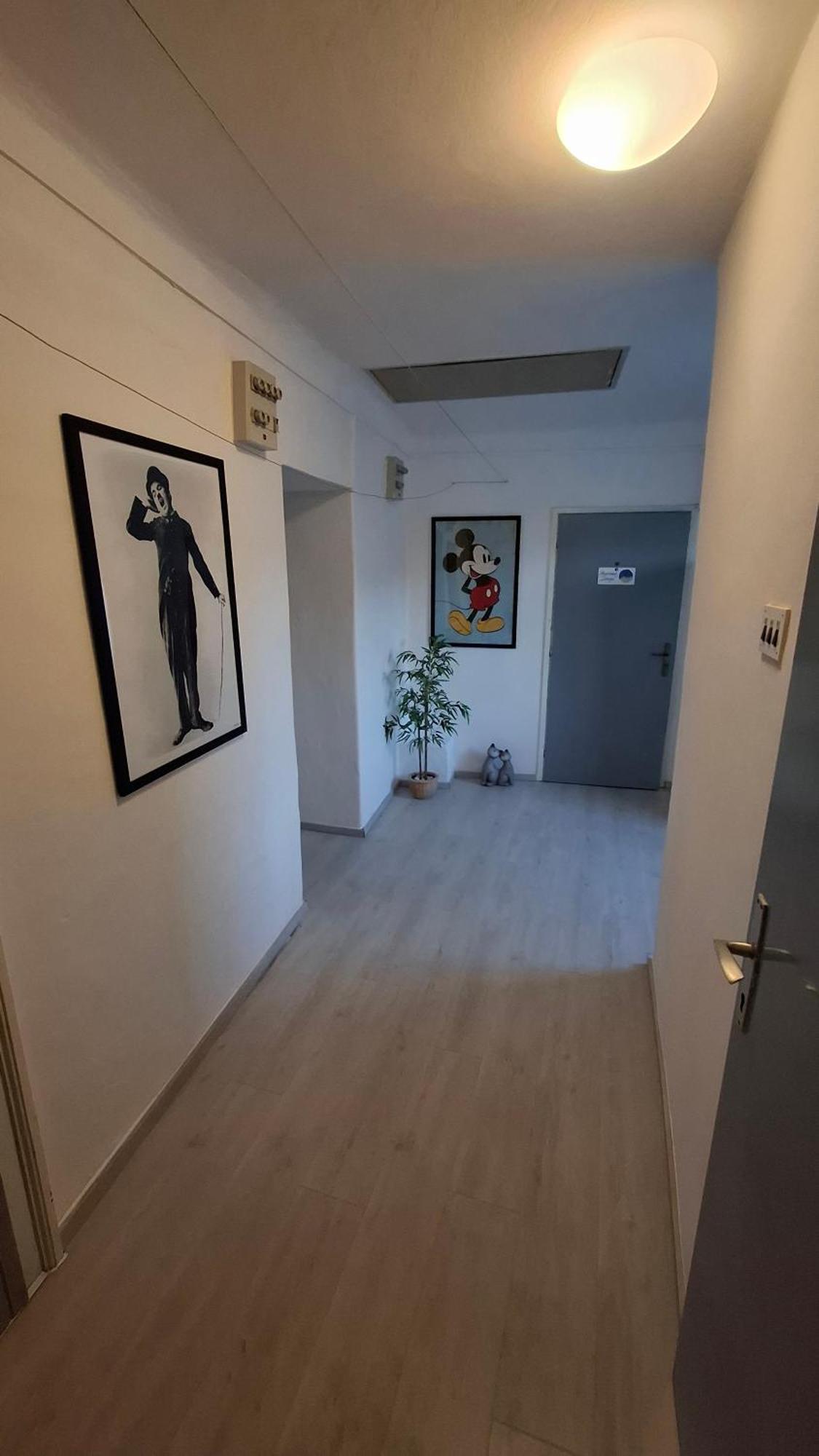 Apartman Darija 파진 외부 사진